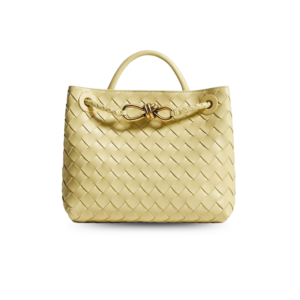 Bottega Veneta Andiamo Small Top Handle Bag 9.8in/ 25cm Yellow Gold Hardware For Women