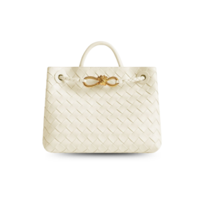 Bottega Veneta Andiamo Small Top Handle Bag 9.8in/ 25cm Sea Salt Gold Hardware For Women 766014VCPP19211