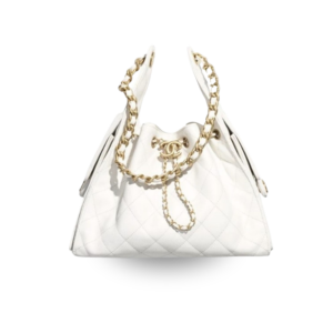 Chanel 25 Small Shoulder Bag 10.2in/ 26cm White Gold Hardware For Women AS5293 B20304 10601