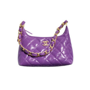 Chanel Hobo Small Bag 10.1in/ 26cm Purple Gold Hardware For Women AS4912 B16897 NY564