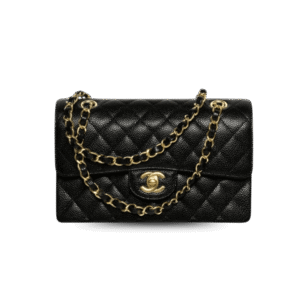 Chanel Classic Small Crossbody Bag 9.1in/ 23cm Black Gold Hardware For Women A01113 Y01864 C3906