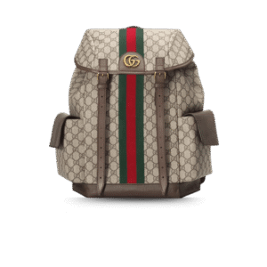 Gucci Ophidia Medium Backpack 15.7in/ 40cm Beige Gold Hardware For Men 598140 HUHAT 8564