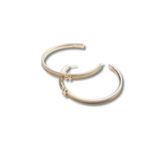 Chanel Hood Earrings For Women ABE246 B18058 NZS80