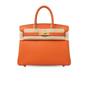 Hermes Birkin Top Handle Bag 11.8in/ 30cm Electric Orange Poppy Gold Hardware For Women