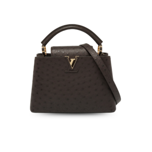Louis Vuitton Capucines BB Top Handle Bag 10.6in/ 27cm Dark Brown Gold Hardware For Women