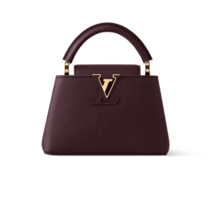 Louis Vuitton Capucines Mini Top Handle Bag Wine Red 8.3in/ 21cm Gold Hardware For Women M25893