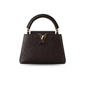 Louis Vuitton Capucines Mini Top Handle Bag 8.3in/ 21cm Dark Brown Gold Hardware For Women