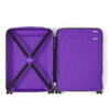 Louis Vuitton Horizon 55 Suitcase 21.7in/ 55cm Brown/ Violet Silver Hardware M46782 - Image 5