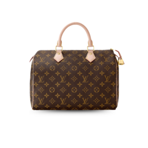 Louis Vuitton Speedy 30 Top Handle Bag 11.8in/ 30cm Brown Monogram Canvas Gold Hardware For Women M41108