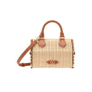 Louis Vuitton Speedy Bandouliere 20 Top Handle Bag 8.1in/ 20cm Tan Gold Hardware For Women N30507