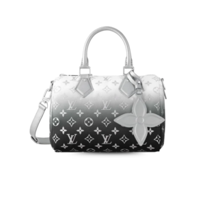 Louis Vuitton Speedy Bandouliere 25 Top Handle Bag 9.8in/ 25cm Frost Silver Hardware For Women M11848