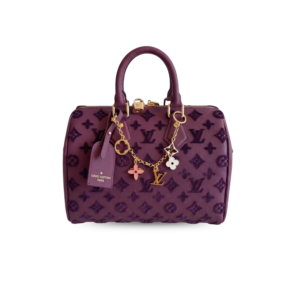 Louis Vuitton Speedy Bandouliere 25 Top Handle Bag 9.8in/ 25cm Purple Gold Hardware For Women