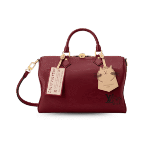 Louis Vuitton Speedy Soft 30 Top Handle Bag 11.8in/30cm Plum Gold Hardware For Women M25766