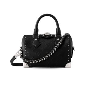 Louis Vuitton Speedy Trunk 20 Top Handle Bag 8.1in/ 20.5cm Black Silver Hardware For Women M14575
