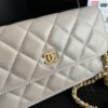 Chanel CC Wallet On Chain Bag White For Women 6.7 in / 17 cm - Image 8