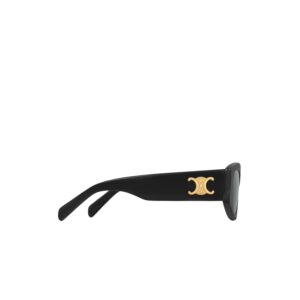 Alternative view of Celine Triomphe 15 Sunglasses In Acetate Black - 4S308CPLB.38NO