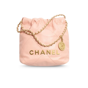 Chanel 22 Mini Crossbody Bag 8.5in/ 19cm Light Pink Gold Hardware For Women AS3980-B19059-U6543