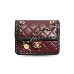 Chanel Mini Flap Bag Dark Burgundy/Black For Women 7.5in/19cm AS2495-B23328-U7403