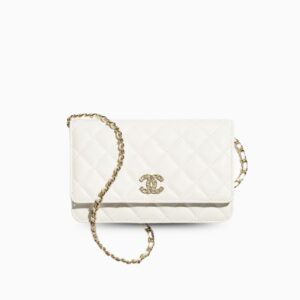 Chanel Wallet On Chain White 7.6in/19cm For Women AP4538-B19735-10601