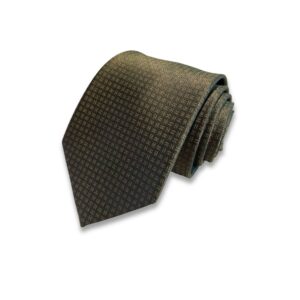 Hermes Elegent Green Silk Tie For Men