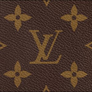 Alternative view of Louis Vuitton Palm Springs MM Backpack For Women M44874- 33 Cm/ 13 Inches